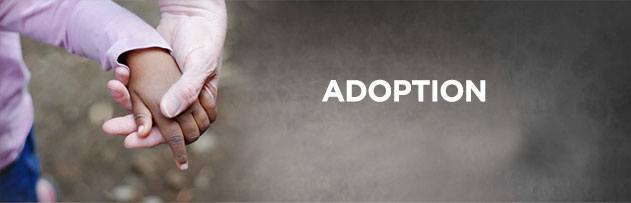 adoption_AOP